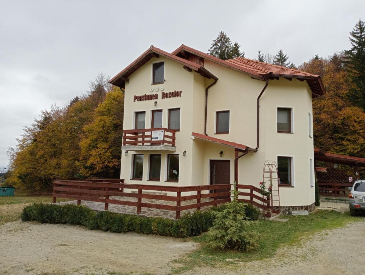 Pensiunea Rozelor Statiunea Climaterica Sambata Sîmbăta de Sus Exteriér fotografie