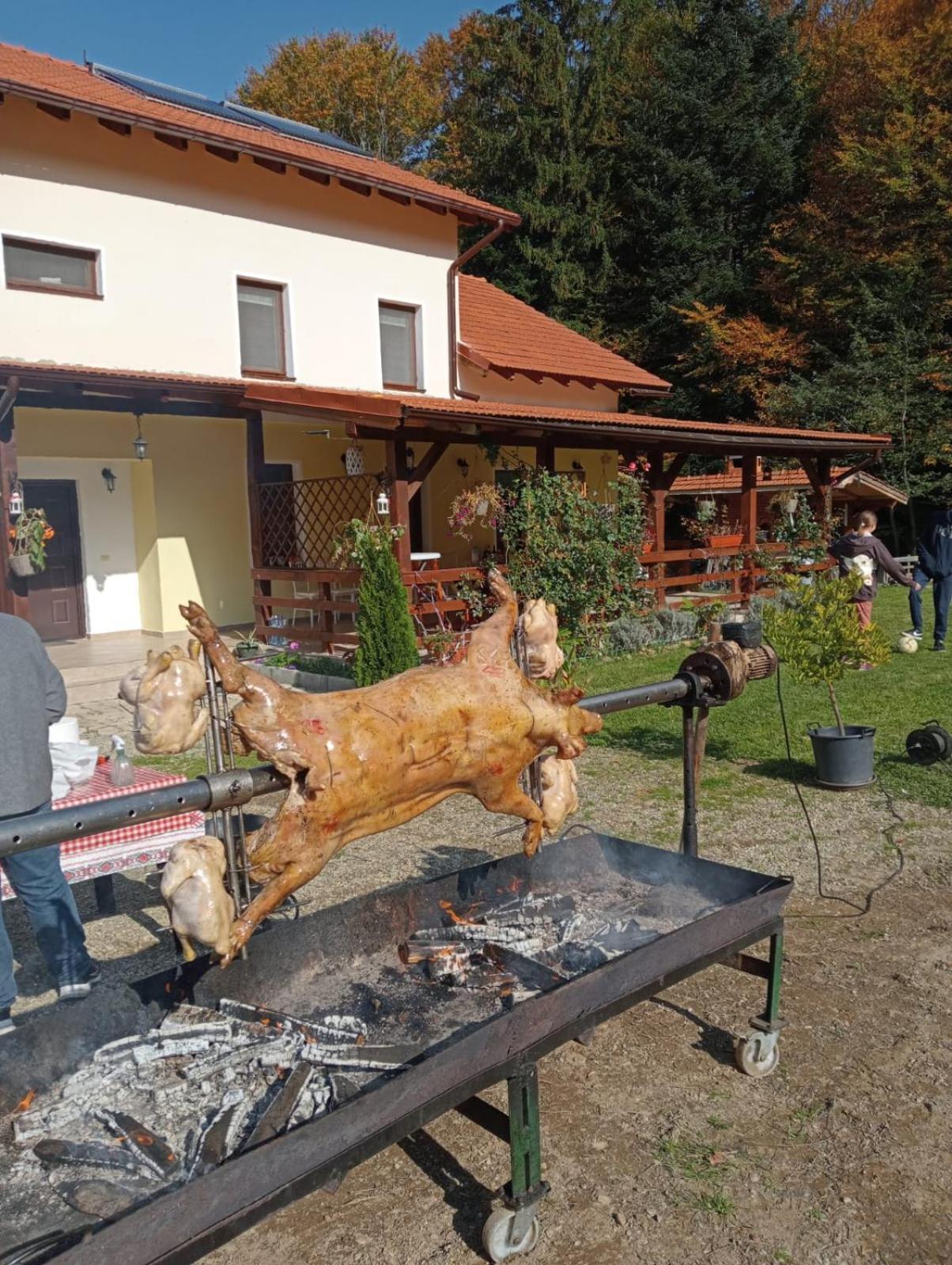 Pensiunea Rozelor Statiunea Climaterica Sambata Sîmbăta de Sus Exteriér fotografie